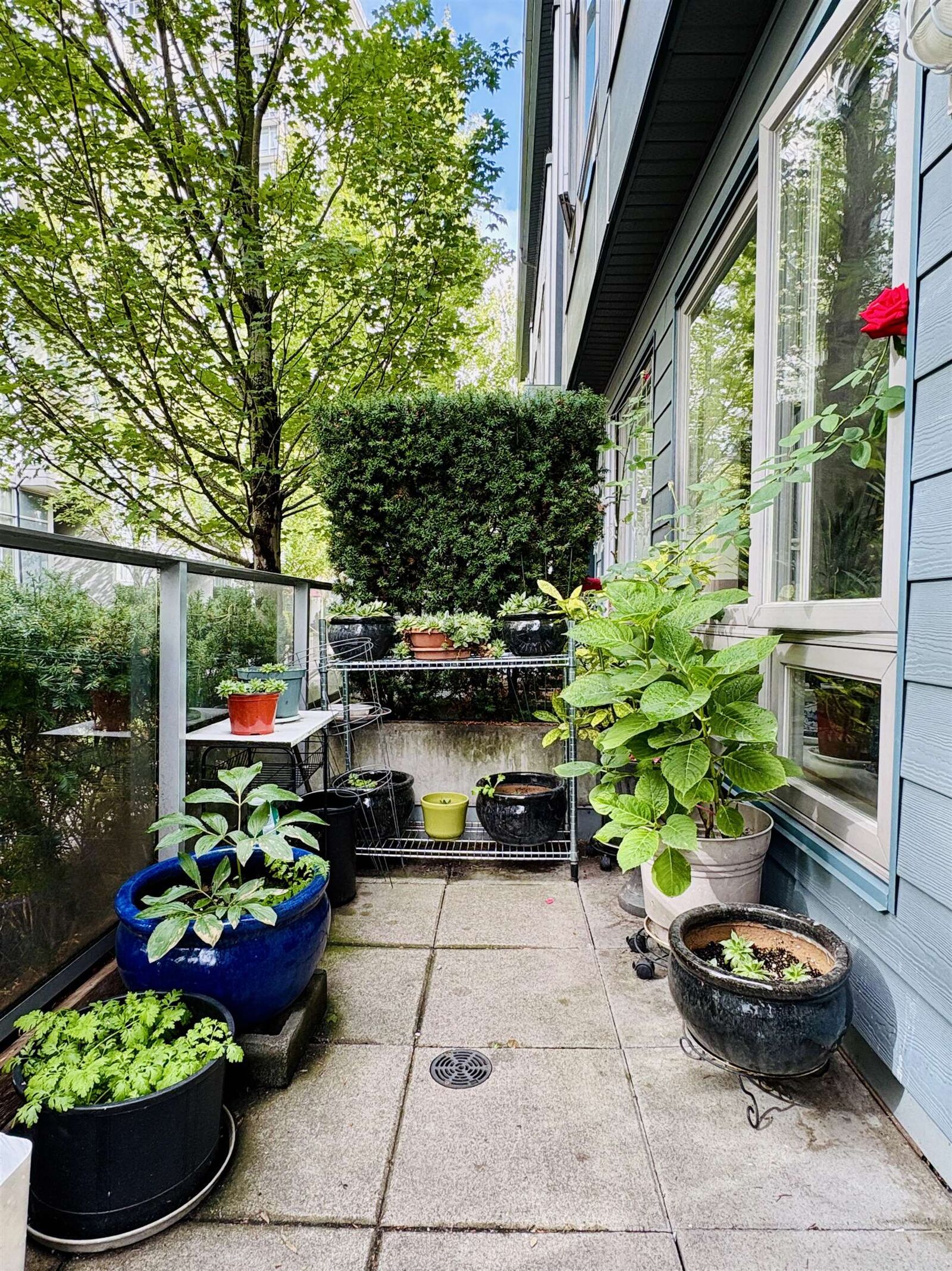 Property Photo: 4886 Eldorado Mews BC V5R 0B1