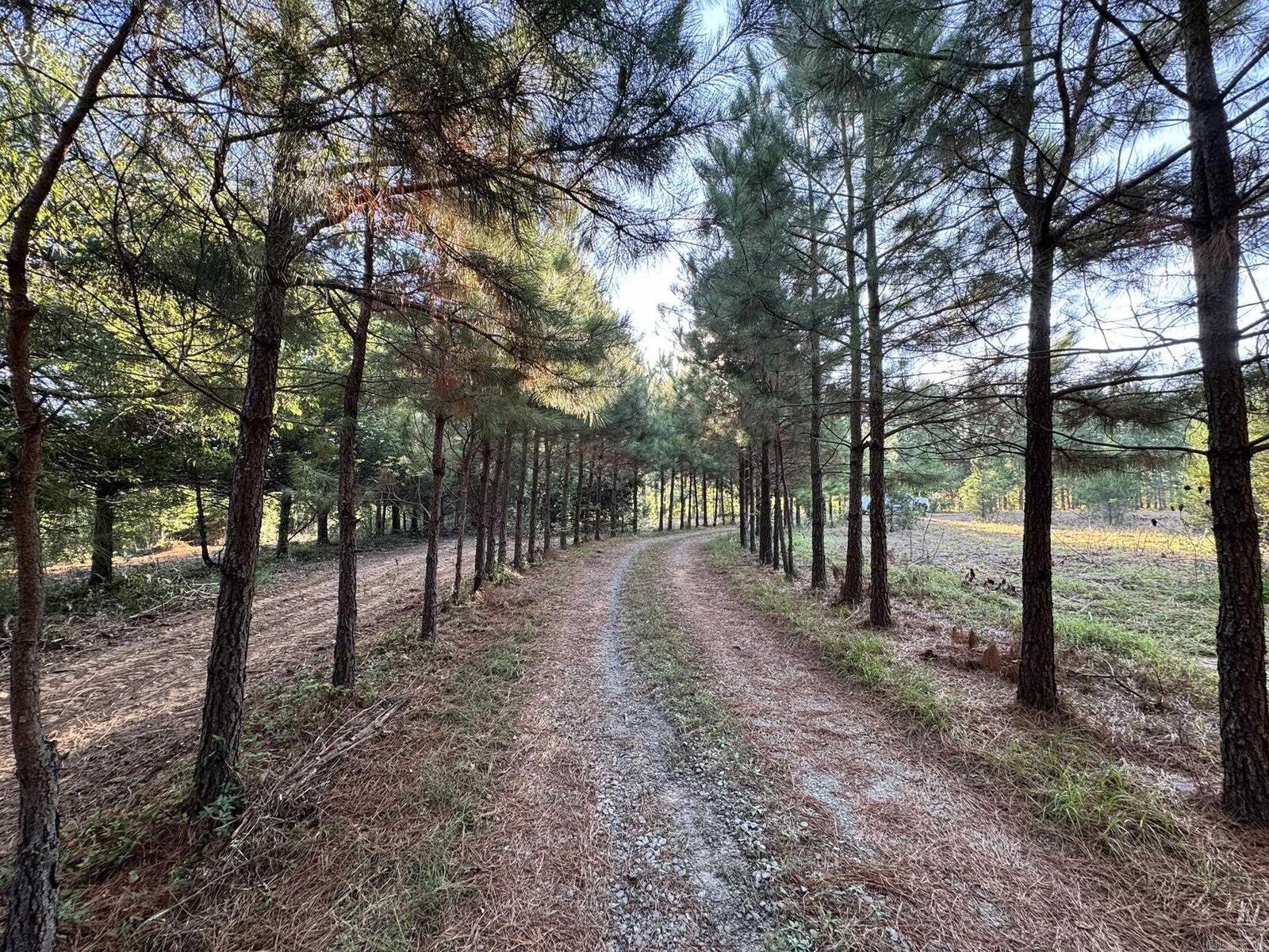 Property Photo:  116 Cardin Circle  AR 72047 