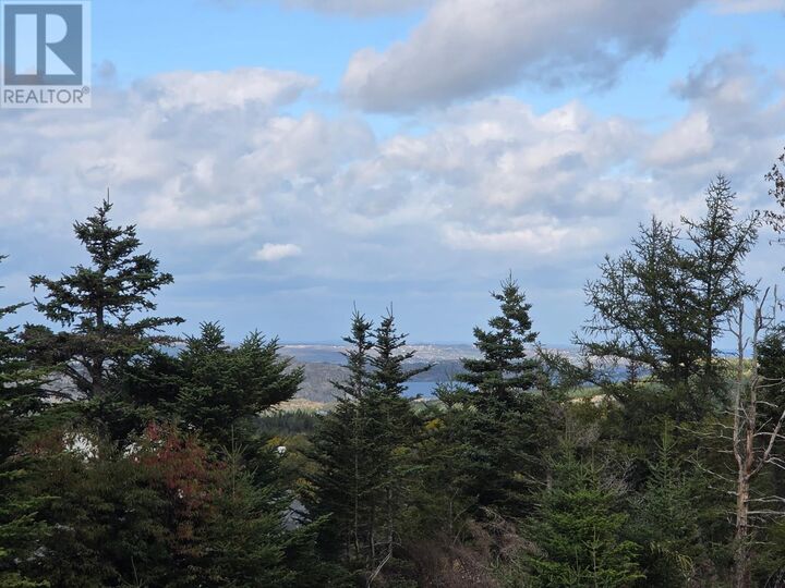 Property Photo:  295-307 Cemetry Road  NL A0A 1K0 