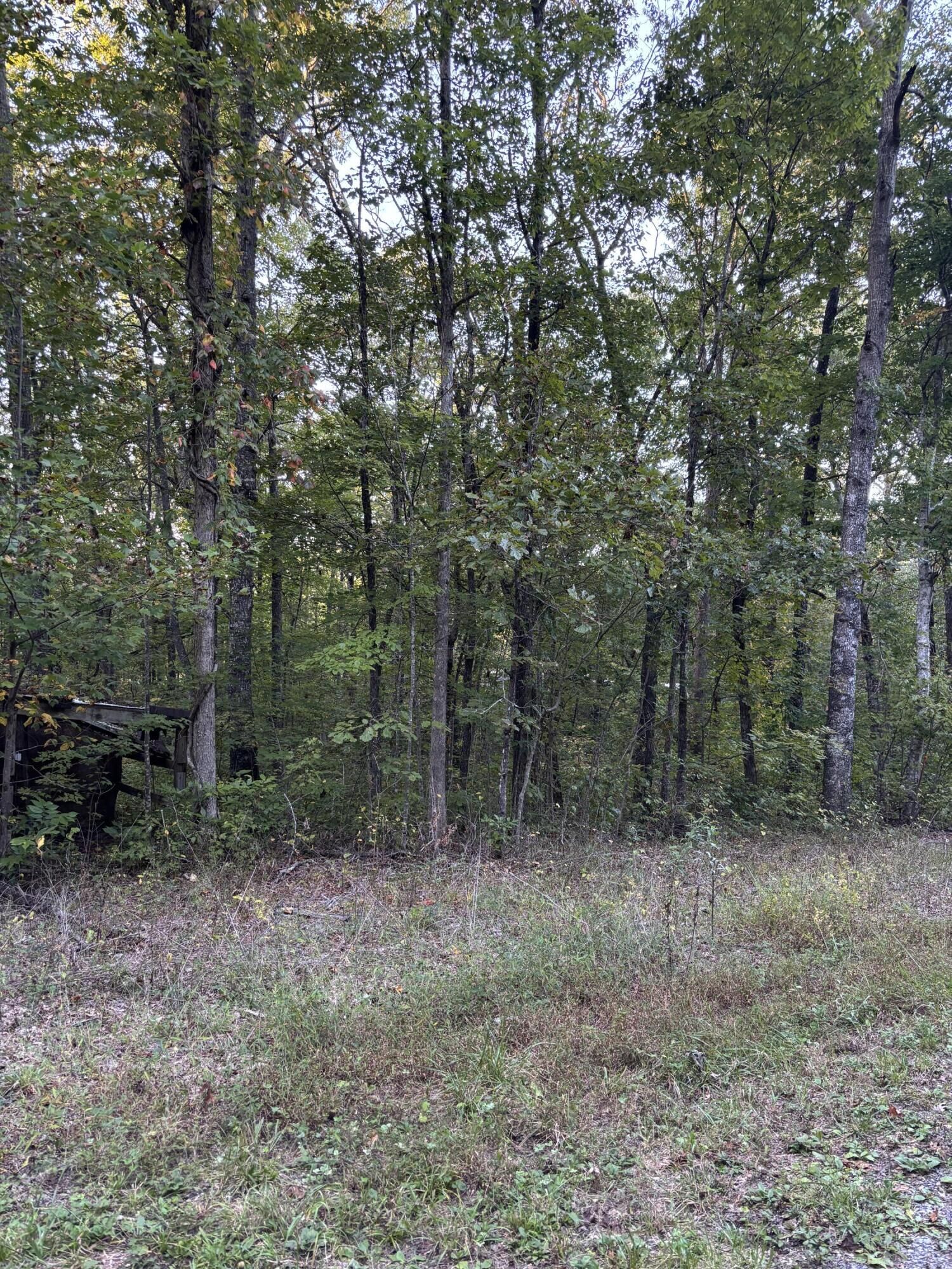 Property Photo: 20 Ski View Drive TN 37327