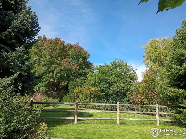 Property Photo:  608 Langdale Dr  CO 80526 