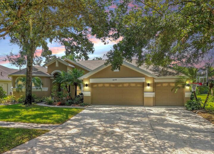 6107 Ibispark Drive  Lithia FL 33547 photo