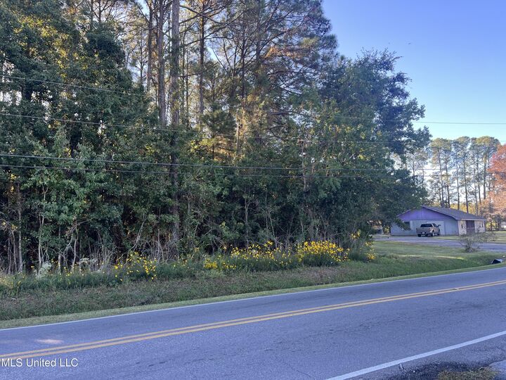 Property Photo: Nathan Hale Avenue MS 39581