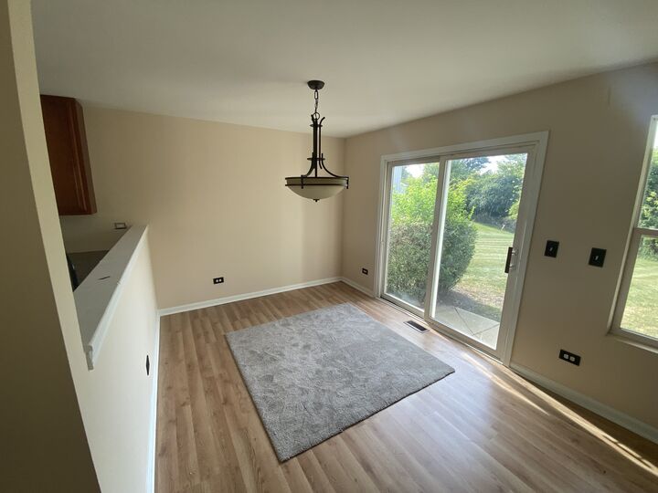 Property Photo:  463 Springwood Drive  IL 60431 