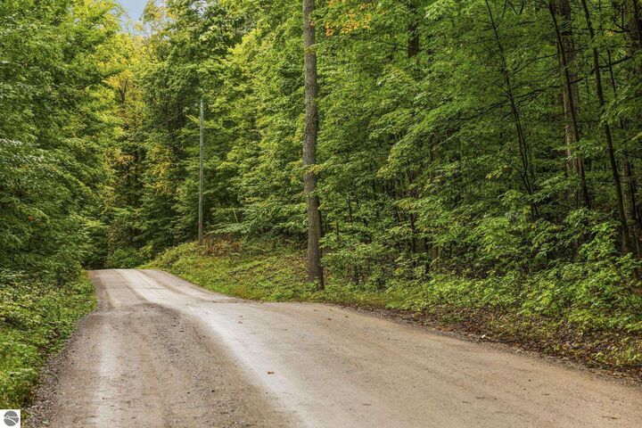 Property Photo:  0 S Golden Valley Drive  MI 49630 