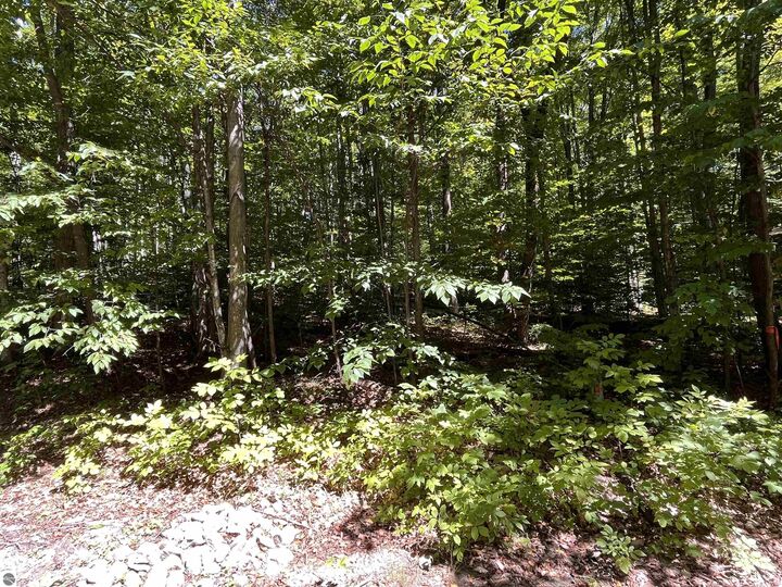 Lot 70 N Klaffen Strasse  Bellaire MI 49615 photo