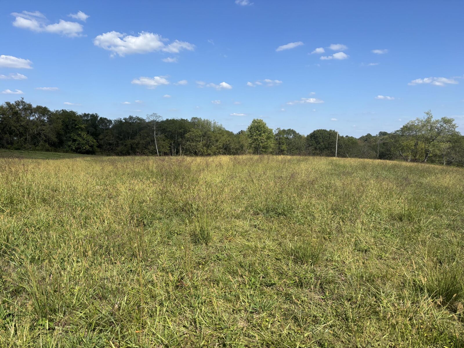 Property Photo:  0 1316 Hwy  KY 41086 