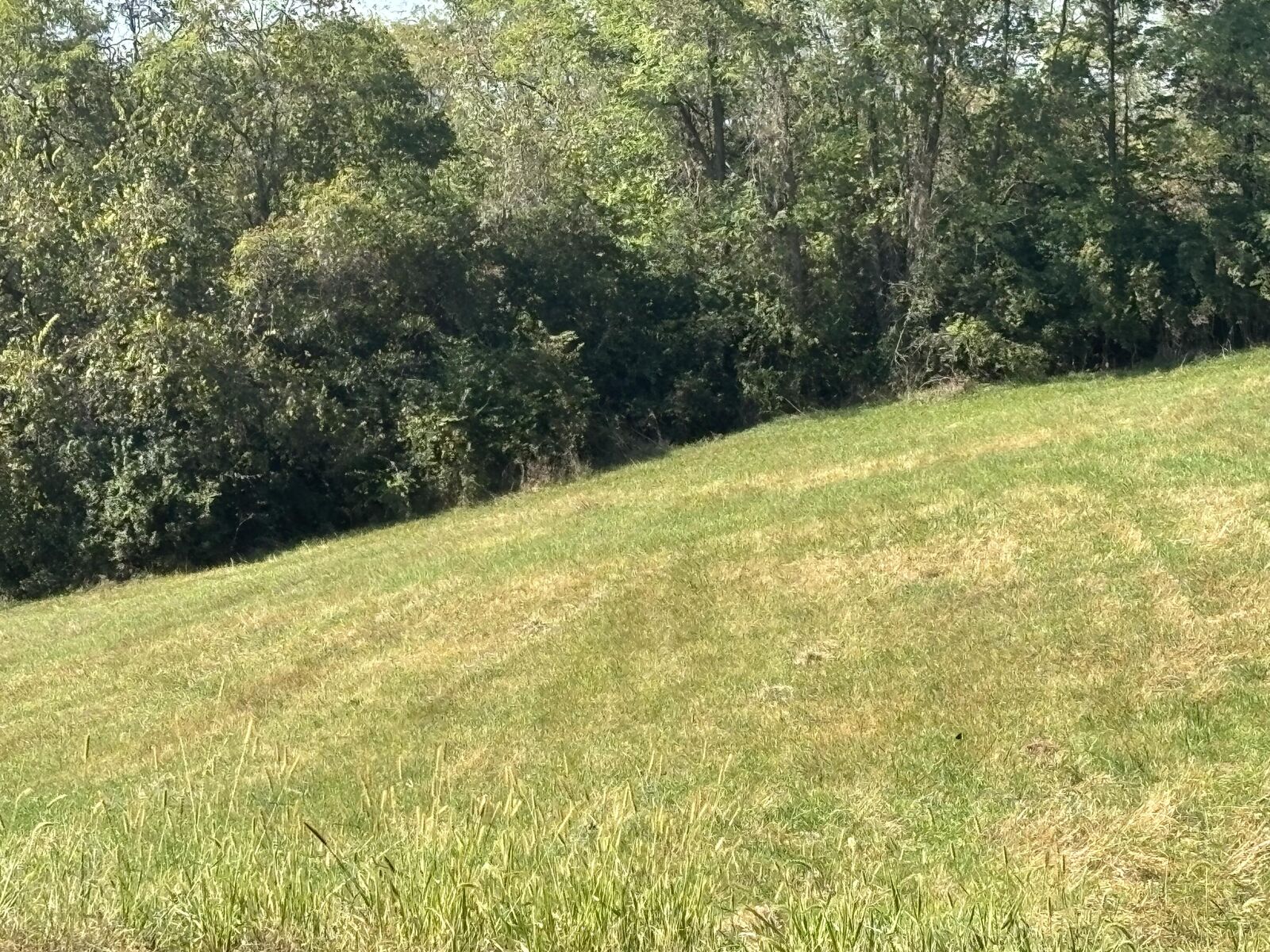 Property Photo:  0 16 Hwy  KY 41095 