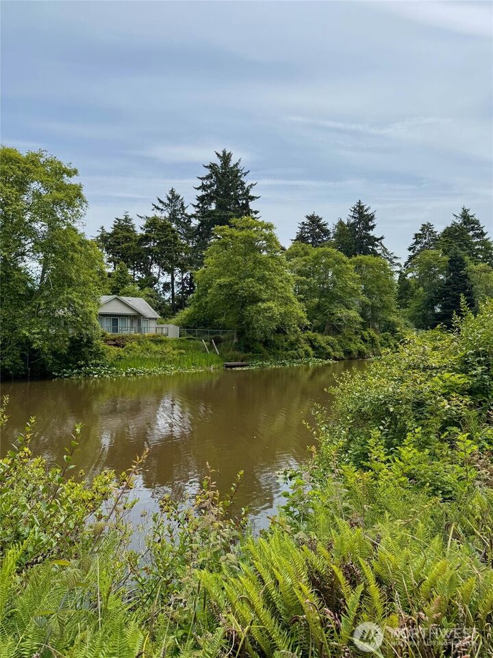 Property Photo:  430  Dolphin Avenue SE  WA 98569 