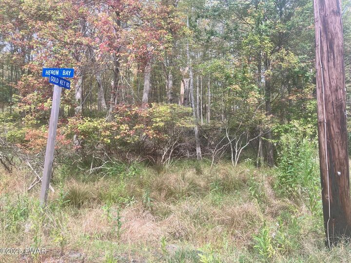 Property Photo: Gold Key Road PA 18337