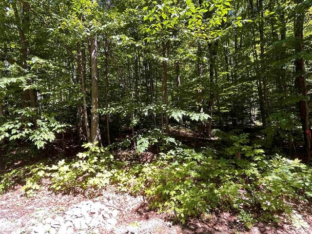 Property Photo: Lot 70 N Klaffen Strasse MI 49615