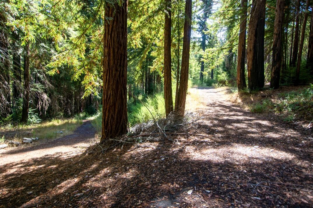 Property Photo:  19145 Big Basin Way  CA 95006 