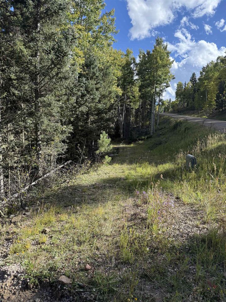 Property Photo: Lot 77 Via De Maria NM 87710