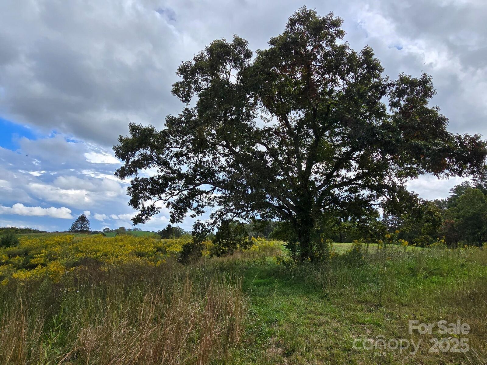 Property Photo: 128 Cook Lane NC 28759