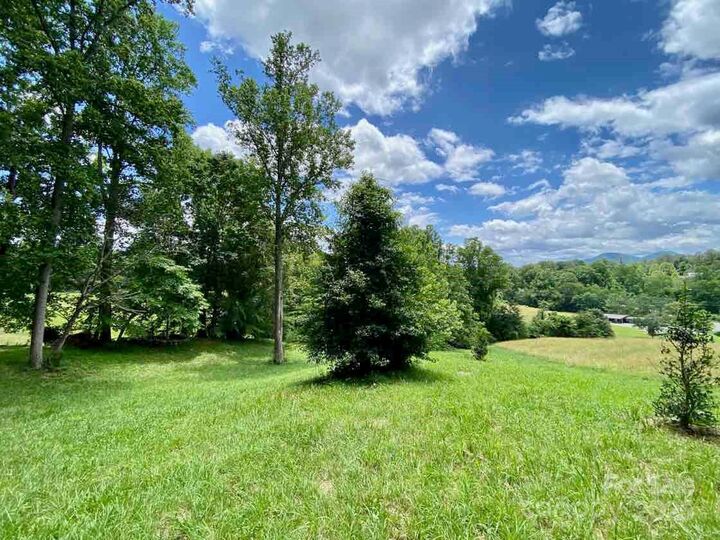 48 Sweet Fern Parkway 59  Asheville NC 28804 photo