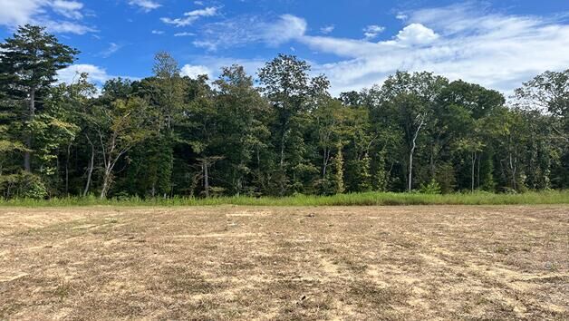 Property Photo:  454 Tulip Poplar Drive  SC 29461 