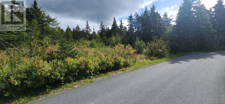 Property Photo:  11 Barrys Island Road North  NL A0A 1B0 
