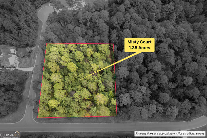 Property Photo:  V/L 173A Misty Harbor  GA 31569 