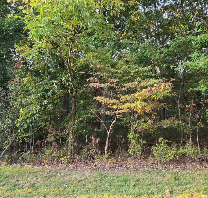 Property Photo:  0 W Chestnut By The Fire Street  IN 47579 