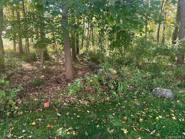 Property Photo:  Lot 27 Cobblers Way  NY 10567 