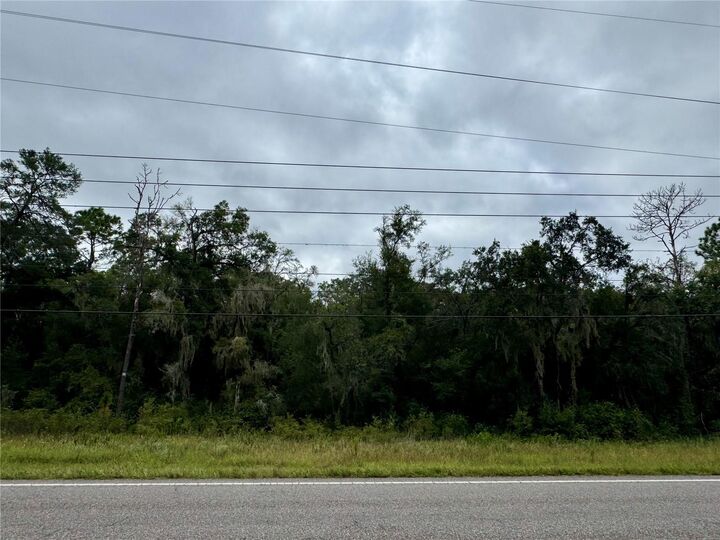 Property Photo: Southwest Hwy 484 FL 34432