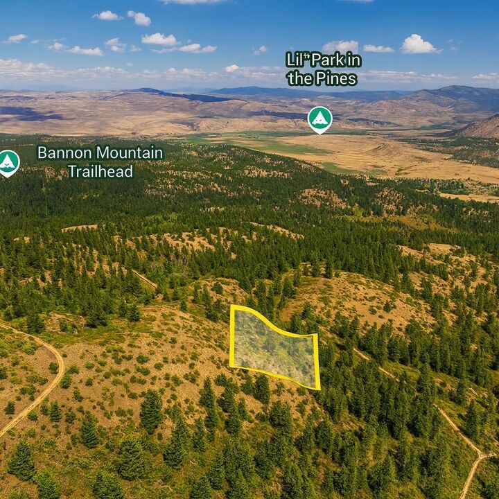 Property Photo:  1xx Rocky Canyon Rd 3629220014  WA 98855 