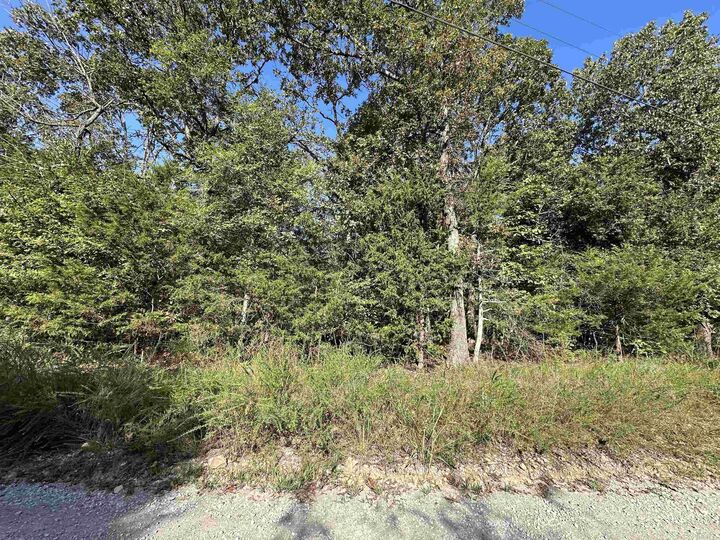 Property Photo: Lots 1 &Amp 2 Round Mountain Drive AR 72634