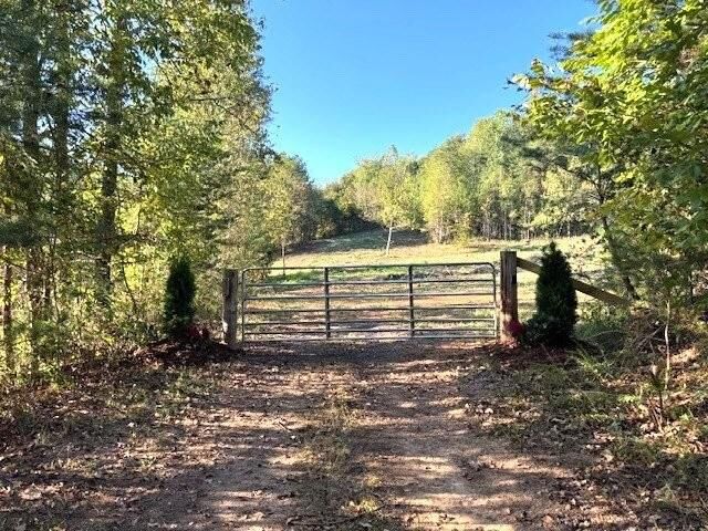 Property Photo: 0 Buckner Rd GA 30736