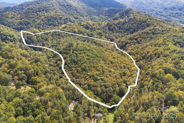 Property Photo: 99999 S Hidden Cove Road NC 28748