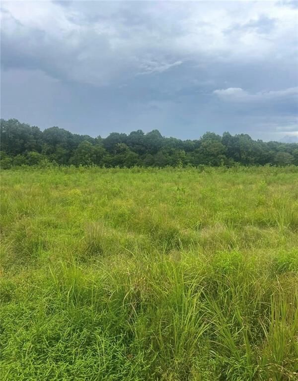 Property Photo:  729 Taylor Town Road NE  GA 30734 