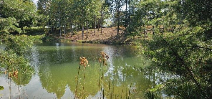 Property Photo:  Lot 515 Wilderness Way  TN 37327 