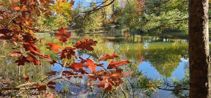 Property Photo: Lot 515 Wilderness Way TN 37327