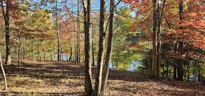 Property Photo:  Lot 515 Wilderness Way  TN 37327 