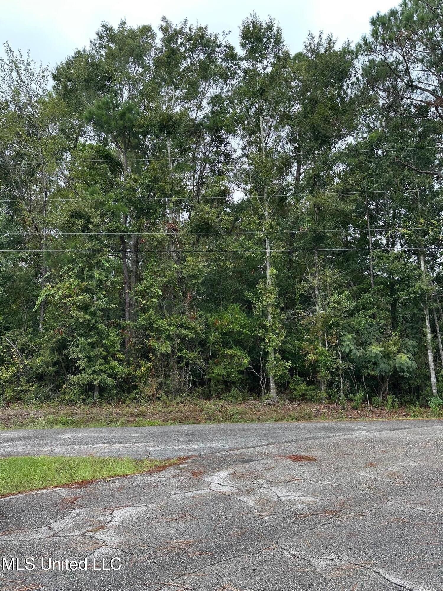 Property Photo:  Maui Circle  MS 39525 