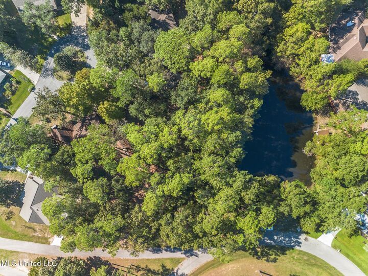 Maui Circle  Diamondhead MS 39525 photo