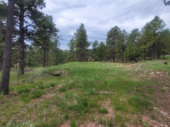 Property Photo:  24653 Outback Trail  SD 57744 