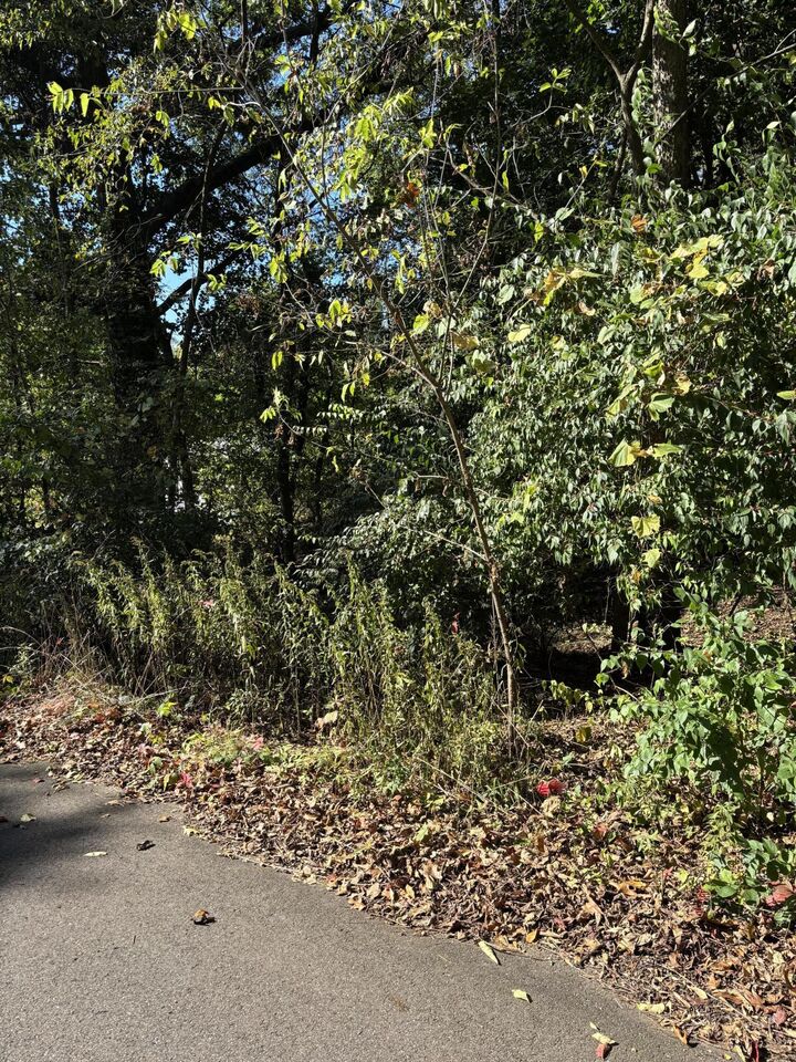 Property Photo: 665 Shields Street MI 49048