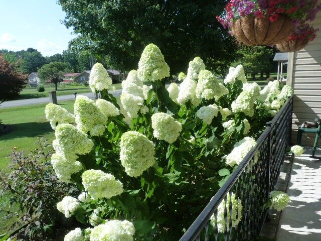 Property Photo:  315 New Union Hts  TN 37355 