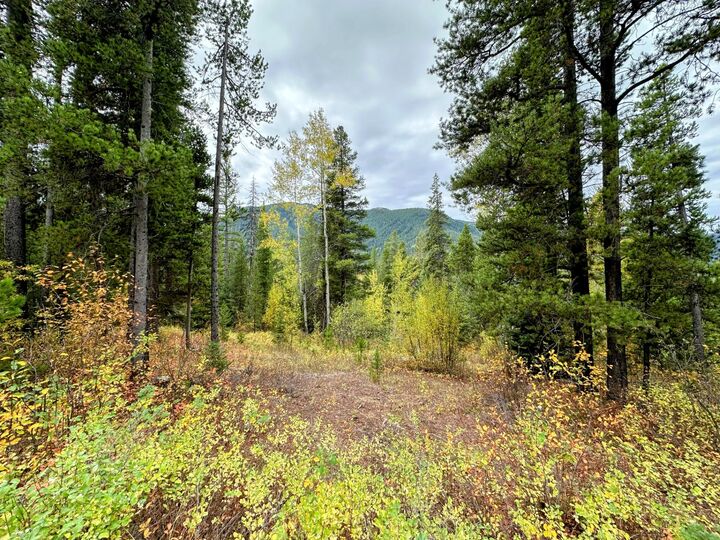 Property Photo:  Nhn Giefer Creek Road  MT 59916 