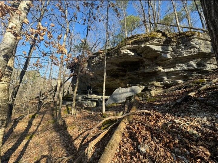 293 Cr-315  Eureka Springs AR 72632 photo