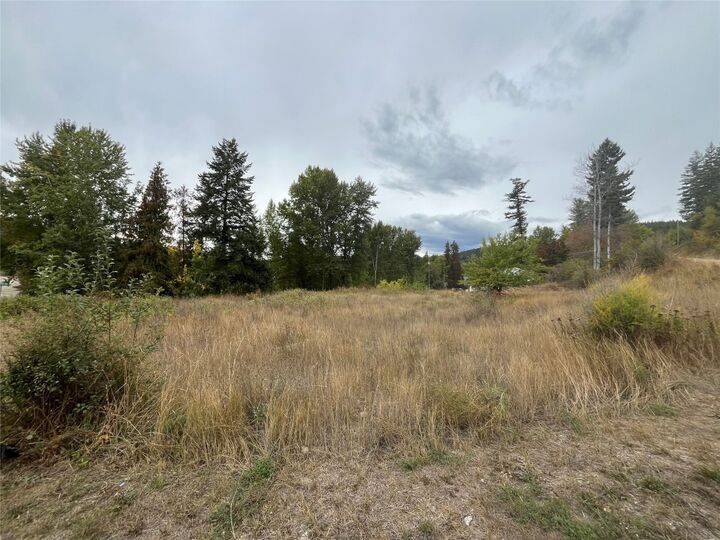 2481 Squilax Anglemont Road — photo 1