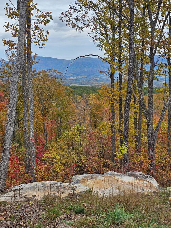 Property Photo:  0 Overview Road  TN 38555 