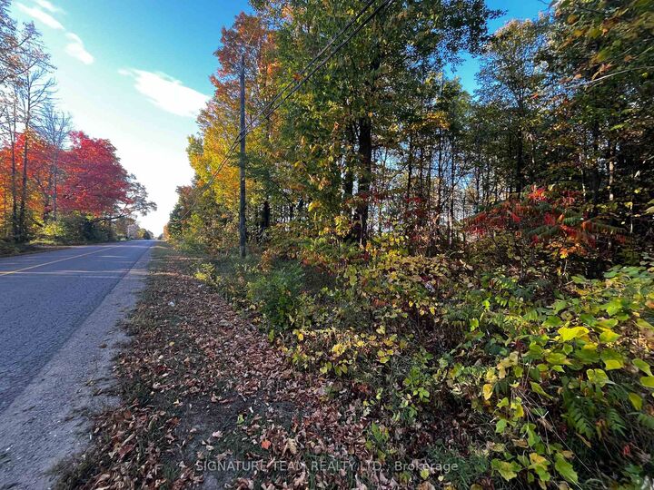 Lot 0 Bellamy Road — photo 1