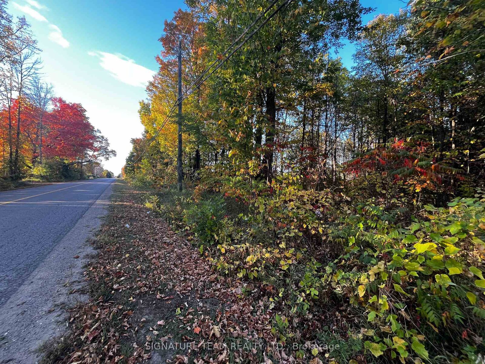 Property Photo:  Lot 0 Bellamy Road  ON K0A 3L0 