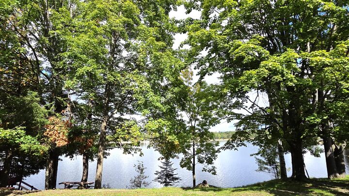 Property Photo: 13462 W Shore Drive MI 49759
