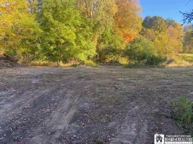 Property Photo:  5460 Weaver Road  NY 14712 