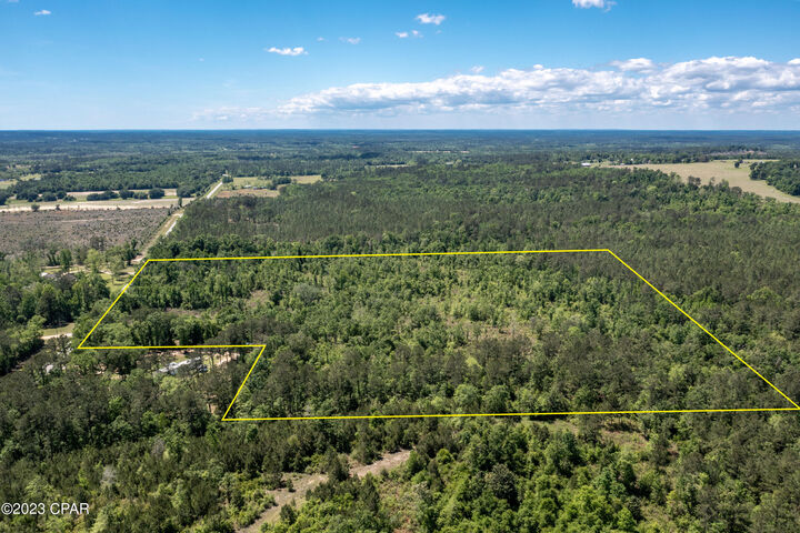 Property Photo: 00 Pioneer Road FL 32428