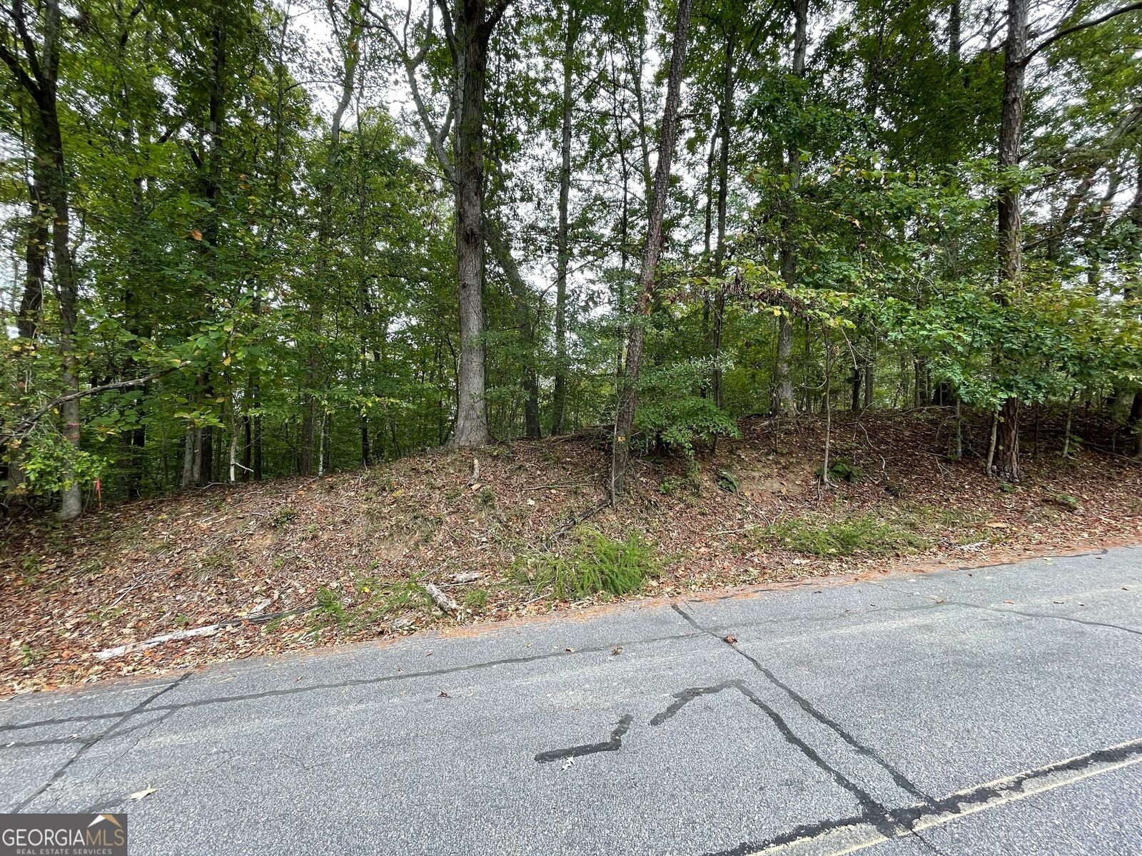 Property Photo:  Lot 296 Oconee Avenue  SC 29693