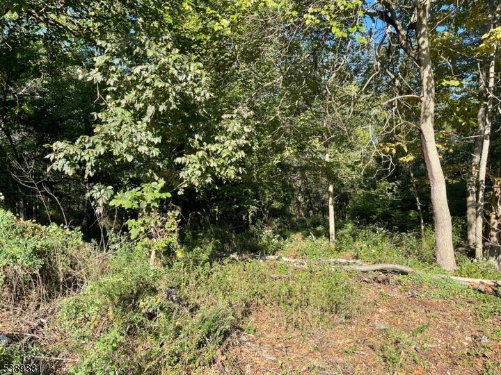 Property Photo: 76 Woodland Rd NJ 08854