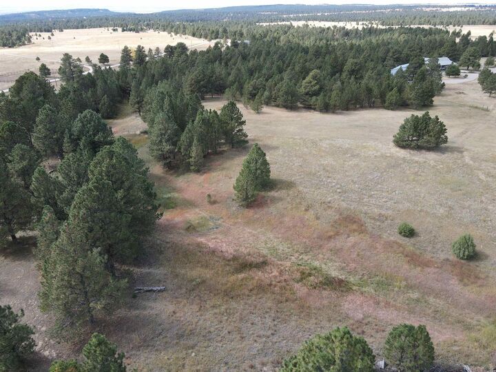 Bridle Bit Court  Newcastle WY 82701 photo